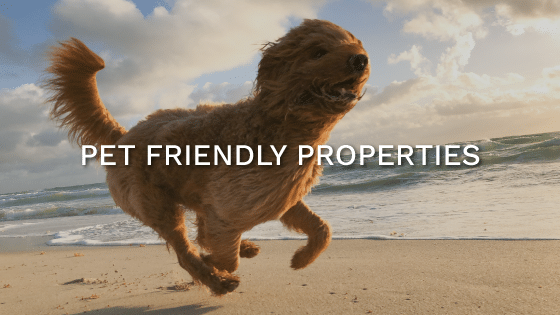 st simons pet friendly vacation rentals